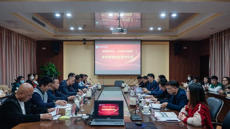 美妆直播代运营服务：揭秘内容生态背后的运营之道